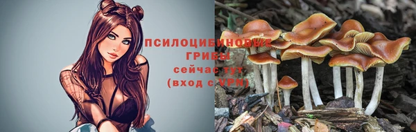 дживик Алексин