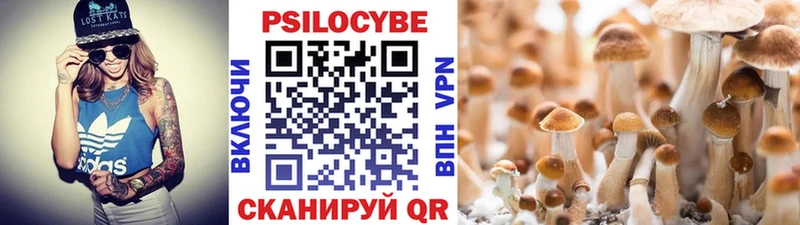 Псилоцибиновые грибы Psilocybine cubensis  Судак 